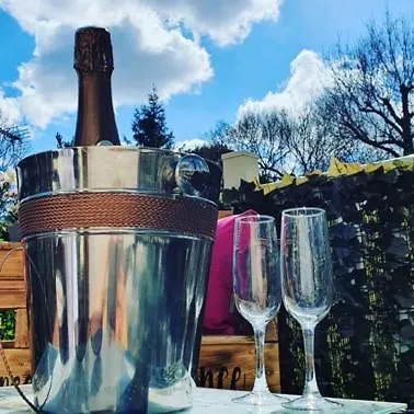 Serendipity Camping Sutton on the Forest