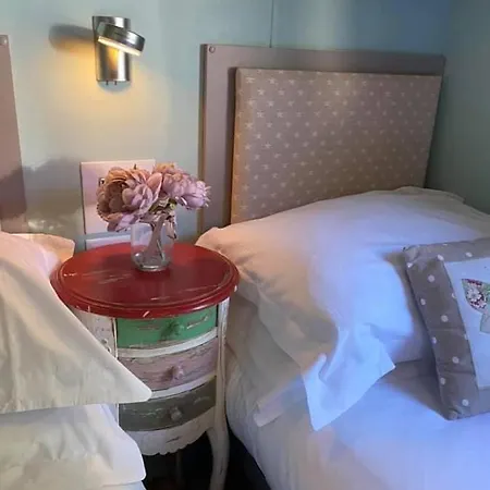 Serendipity Kamp alanı